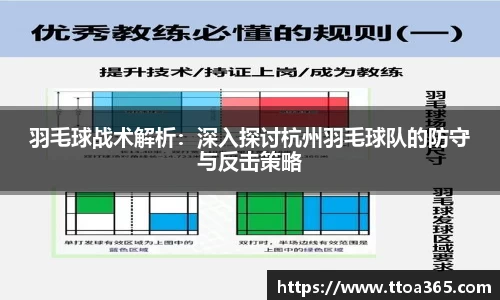 羽毛球战术解析：深入探讨杭州羽毛球队的防守与反击策略