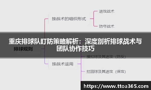 重庆排球队盯防策略解析：深度剖析排球战术与团队协作技巧