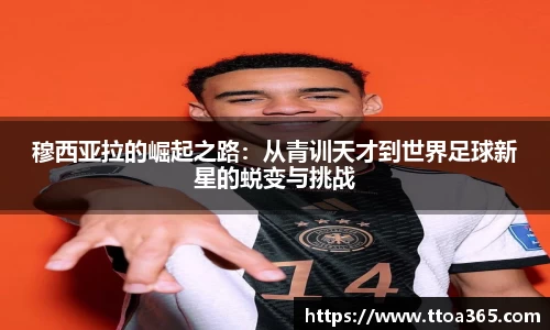 金年会体育